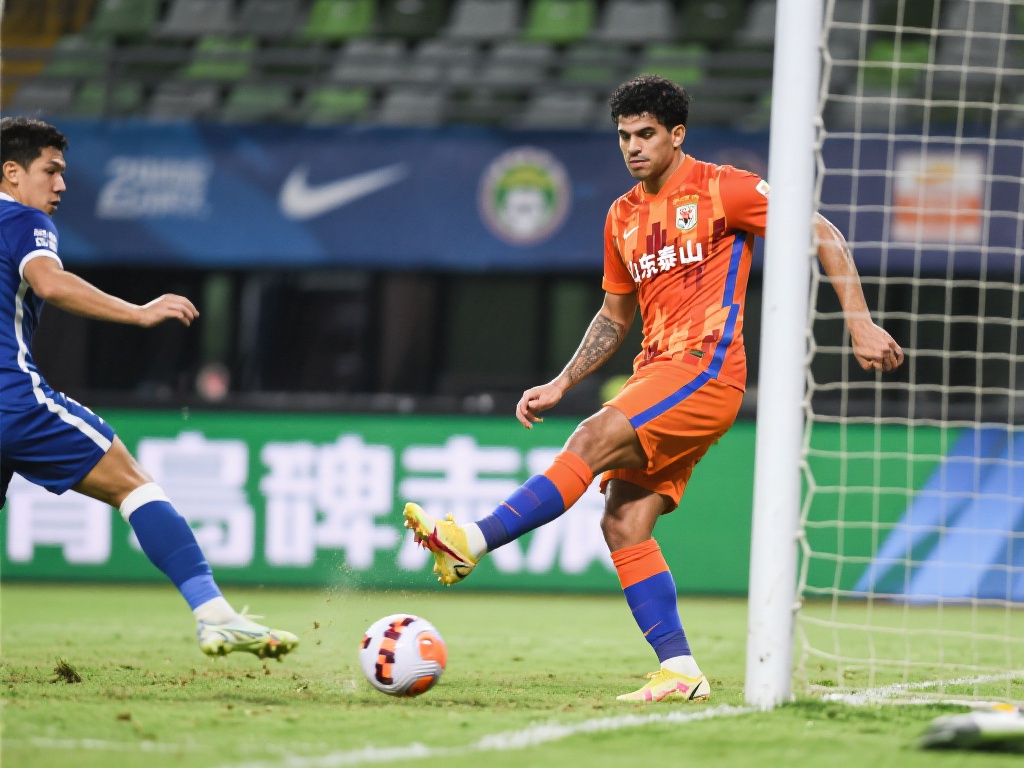 会体育指导 会体育指导