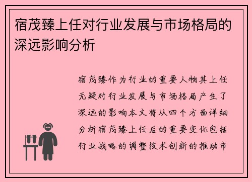 宿茂臻上任对行业发展与市场格局的深远影响分析